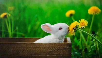 kaiyun开云·官方网站-星际争霸2“银河争锋”线下预选赛火热开启，银河星际争霸指南