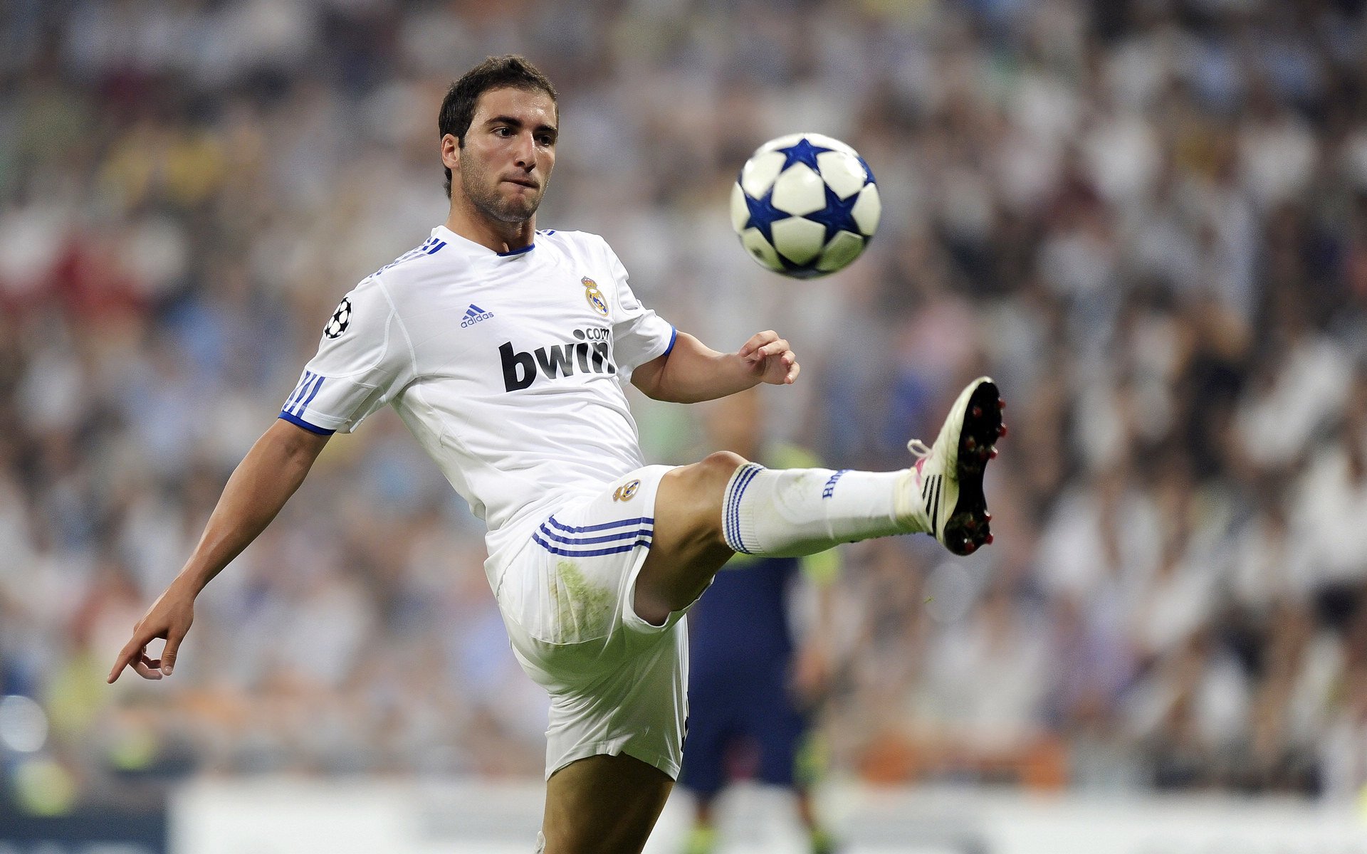 活力新锐：联盟中最具活力的年轻组合，全新活力